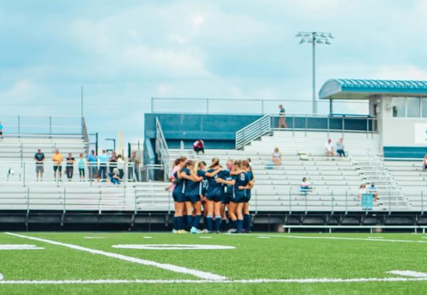 Spartan Teams Dominate throughout the Fall